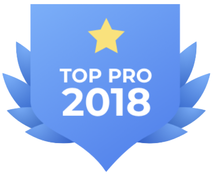 Logo starofservice top pro 2018